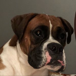 Meet your Posher, Jenifer